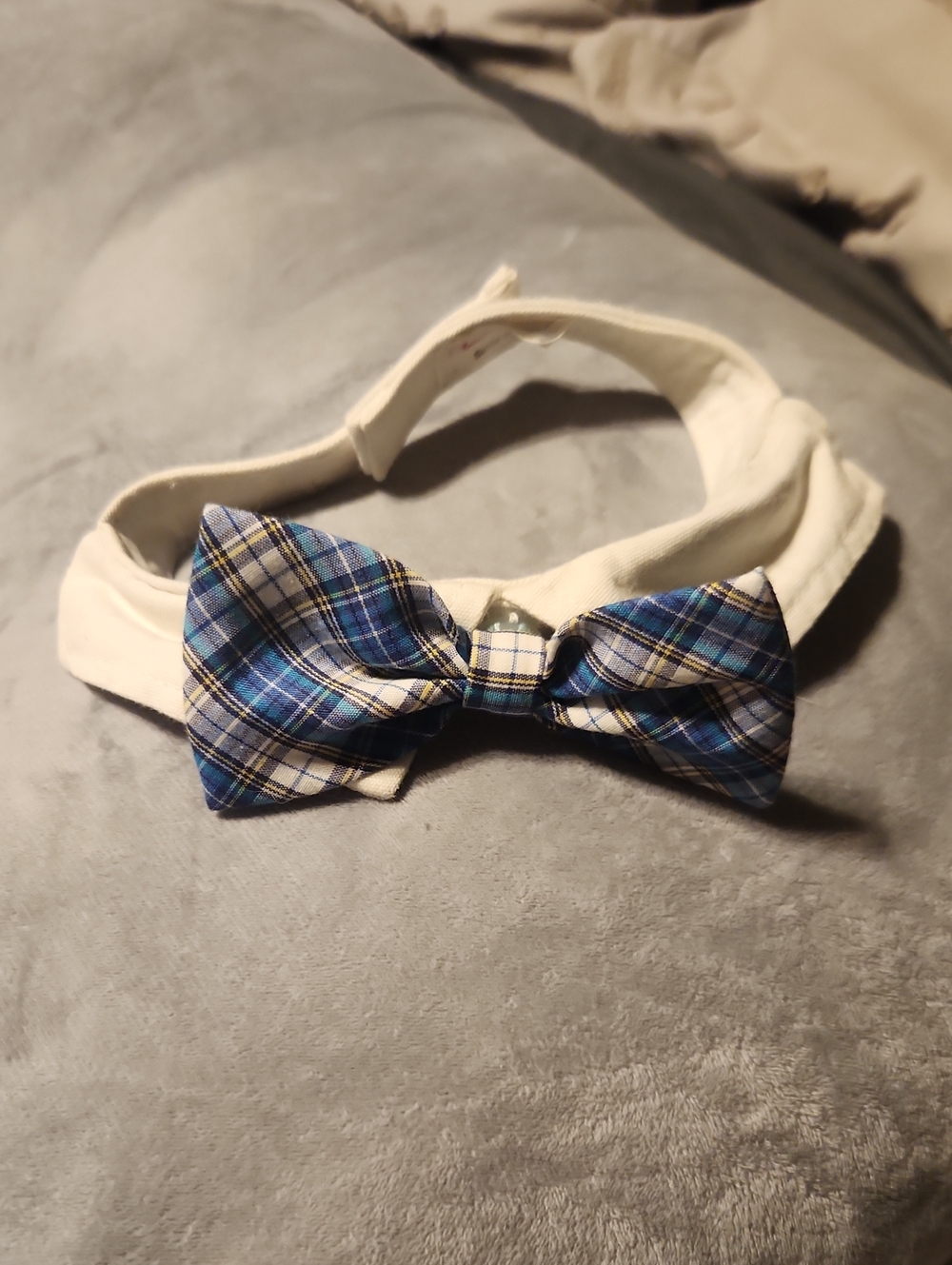 Bow Tie Dog Collar